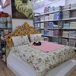 Die Istanbuler Katzen haben Narrenfreiheit