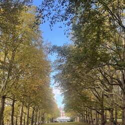 Reminder to be grateful for NZ's evergreen podocarp forests