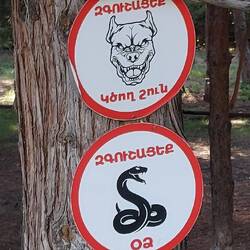 Und offenbar wilde Tiere. Letztes Jahr gab es die noch nicht.