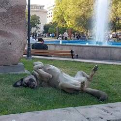 Er genießt den Spätsommer 🥳