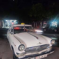 Herrliche Schätzchen