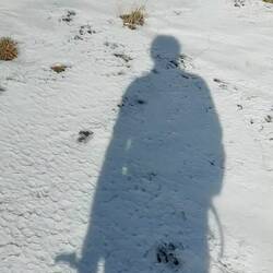 Nicht geklappt. Aber tolle Winterlandschaft🤟.