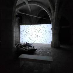 Und Umwelt ist Thema.