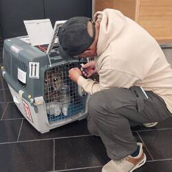 Nach 10 Stunden endlich ...