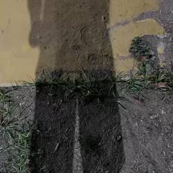 am nächsten Morgen auf dem Weg zum Terminal in Caracas.