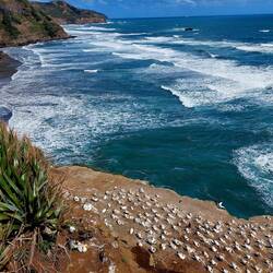 Dazu erzähle ich euch beim nächsten Mal mehr ☺️