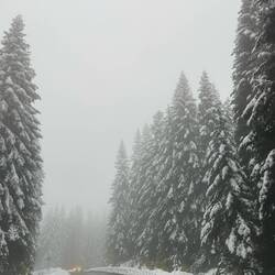 R-5 auf dem Weg nach Kosovo