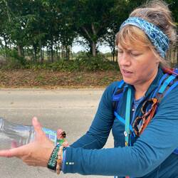 The bee whisperer 🐝