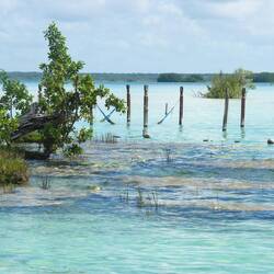 Stromatolithen (Schwefelfelder)