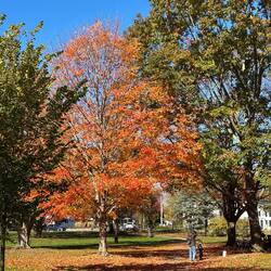 Color by the visitor center