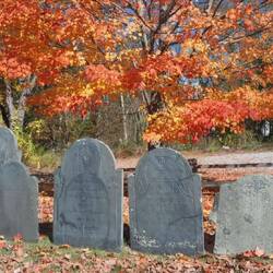 Grave Markers with fall color.