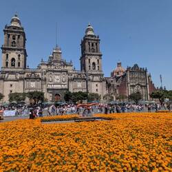 Und jetzt in Mexiko City vor der Kathedrale, Grundsteinlegung 1524