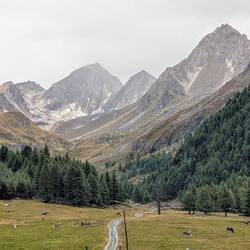 Ausblick aus dem Fenster.😍
