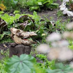 Fancy Gartendeko 😳