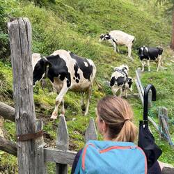 ...dann plötzlich Stau und stockender Verkehr...