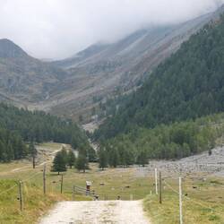 Die Landschaft ändert sich...