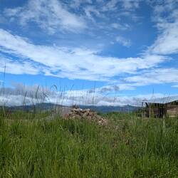 The 3.5 hour drive from Quito took us from city to farmland to ...