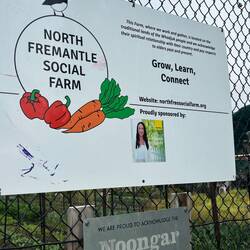 Garden where Zoe volunteers.