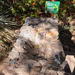 A human water fountain