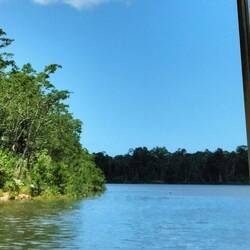 De rivier op, Wildlife cruise noemen ze het