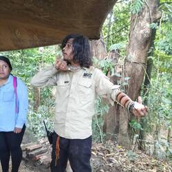 Bescherming tegen de zon, met a.a. ijzer, kalk...