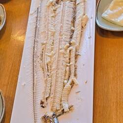 After filtering the cutlassfish, we decided it was pretty tasty. Very light & flaky.