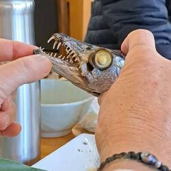 Well, maybe not all of it was light/flaky...