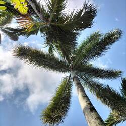 Foto vanaf mijn ligbedje bij het zwembad van het appartement