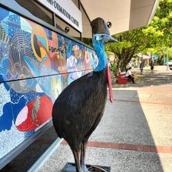 Omdat er geen foto van te maken was, dit surrogaat