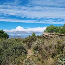 ... und weiter geht's