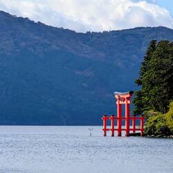 Das Tori etwas näher