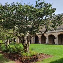 University of Melbourne