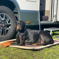 Guten Start in die neue Woche..