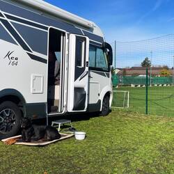 Lesley genießt die Sonne 🐾♥️