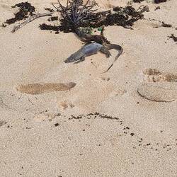 Leider verstorben und dann begraben🎱🖤