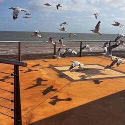 Turtlebeach Port Hedland