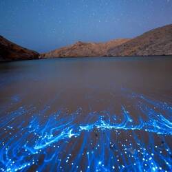 What we thought we would see