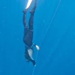 Wer lange genug in die Stille des Ozeans lauscht, hört das eigene Herz im Rhythmus schlagen.