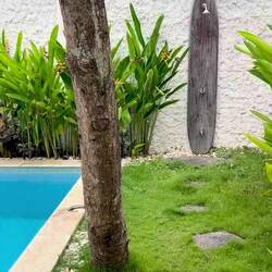 Unsere Villa mit eigenem Mangobaum 🥭 🥰