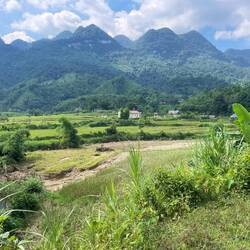 We are headed for those hills