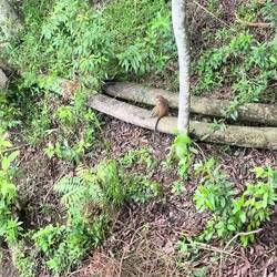 Brothers messing around