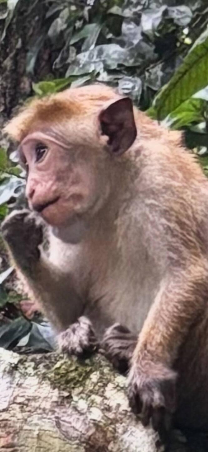 A penny for your thoughts