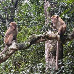 Just hanging out when no one else is around