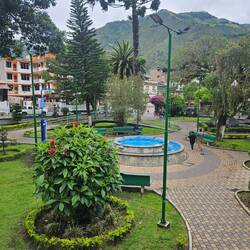 Palomino Flores (Parque Central)