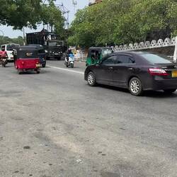 Check out the tusks! Impressive.