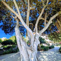 Wo findest du mich ???