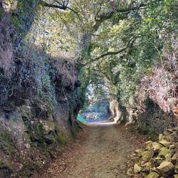 Beautiful trails today.