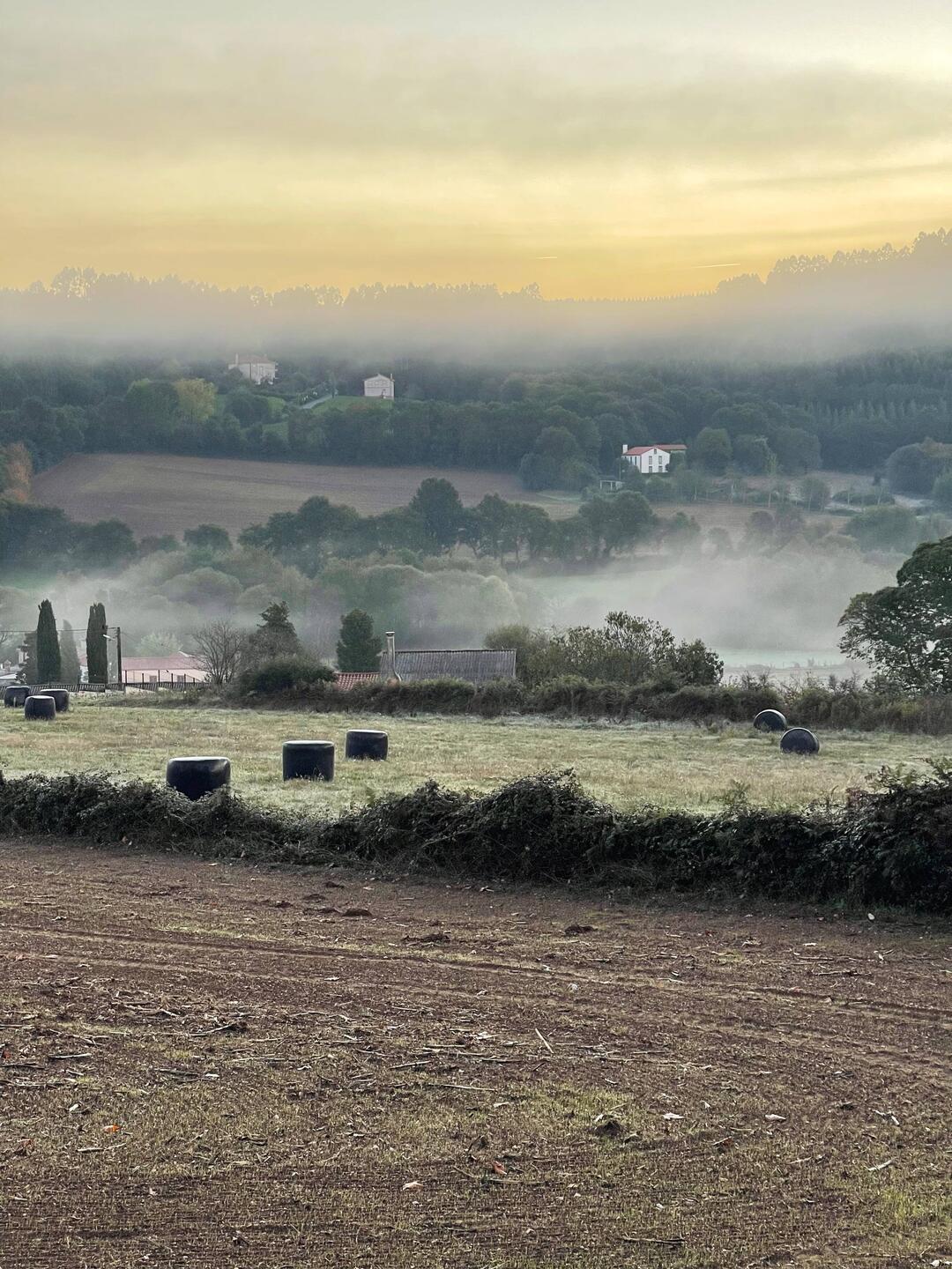 There was actually frost on the ground when we started our walk this morning! Brrr!