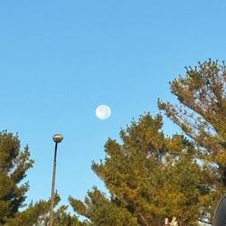 Full moon in the morning.
