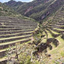 The terraces are extremely steep and beautifully preserved